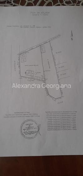 Teren 6000 mp + casa + anexe la marginea satului Dascalu - 4