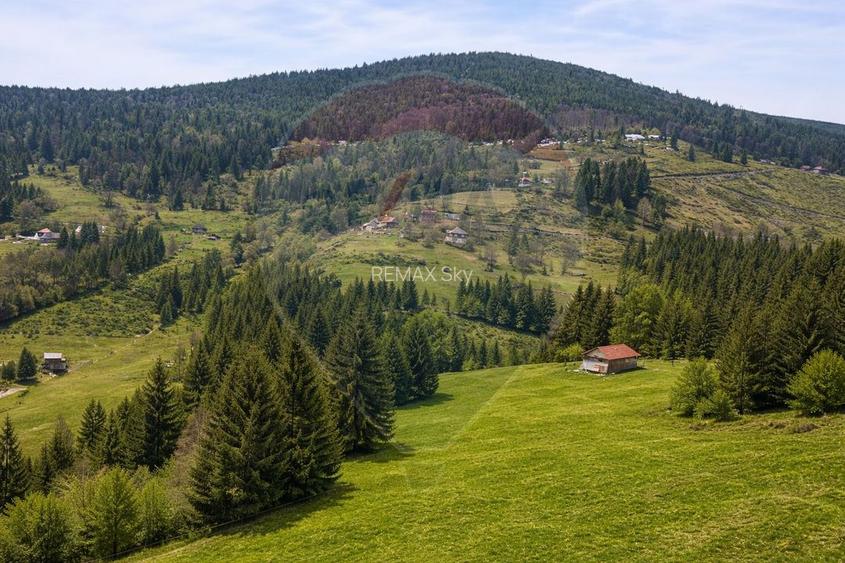 Oază de liniște în inima Apusenilor – teren 6.500 mp Arieșeni - 9