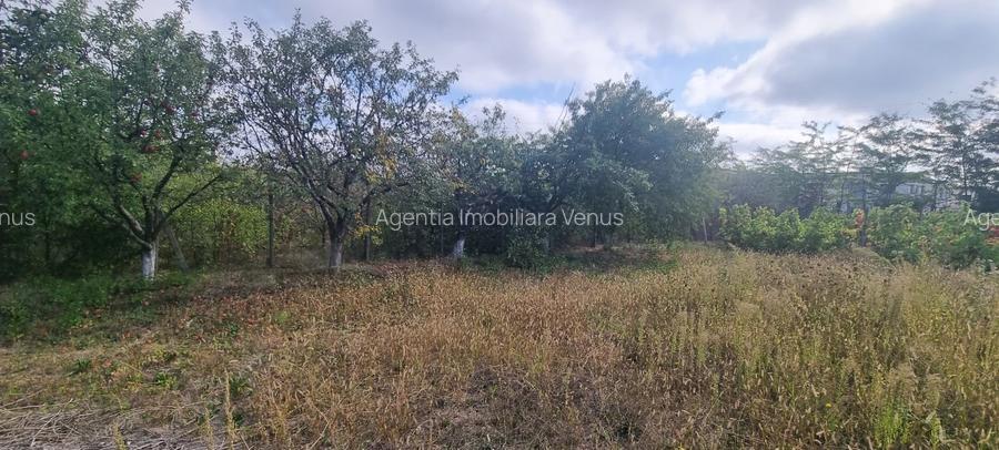 Teren la drumul European Botosani – Suceava - 5