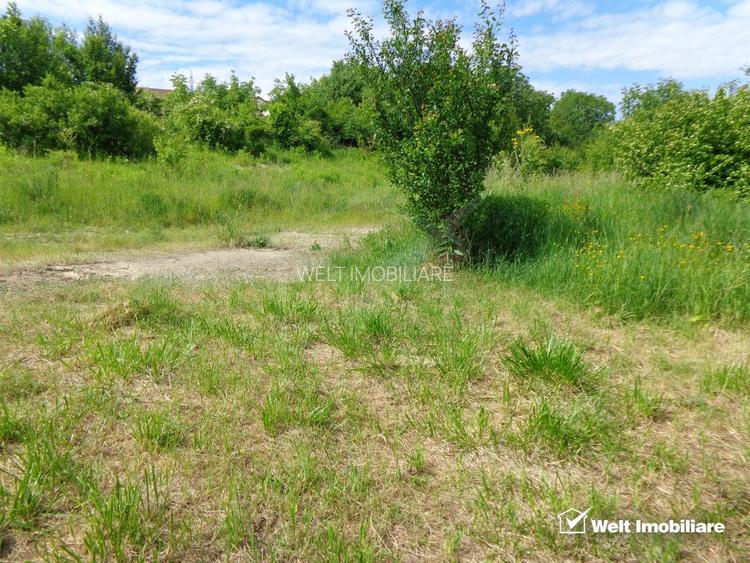 Manastur, Groapa Mosului, teren 1464 mp, intravilan, PUD + AC in lucru - 2