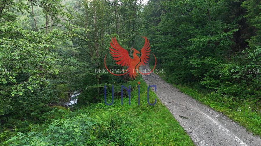 18000 mp de natura pura ,Lupeni, langa Straja - 4