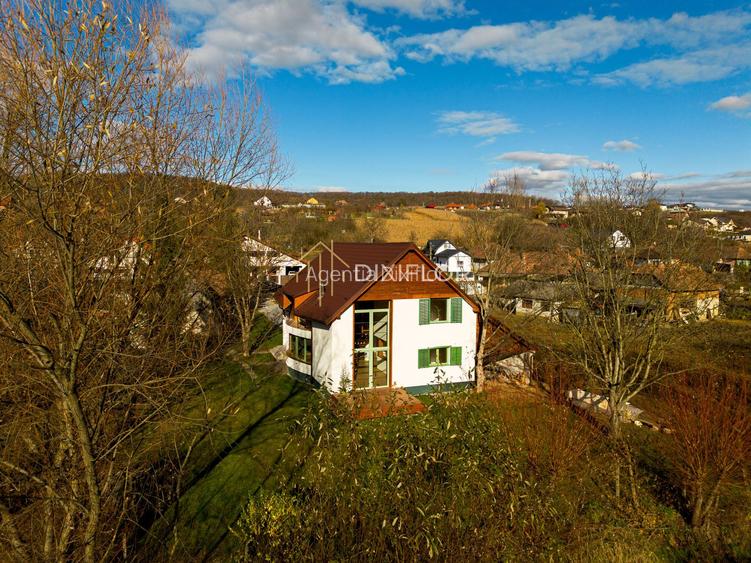 Casă impresionantă lângă natură la câteva minute de oraș - 12