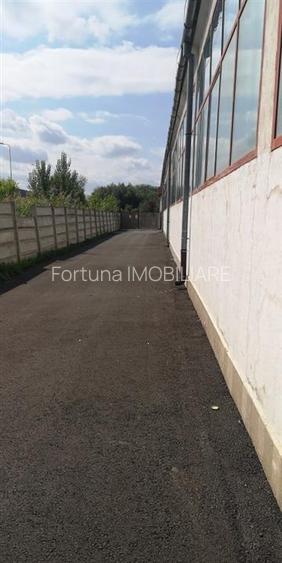 Hala  Brasov Zona Bartolomeu - 8