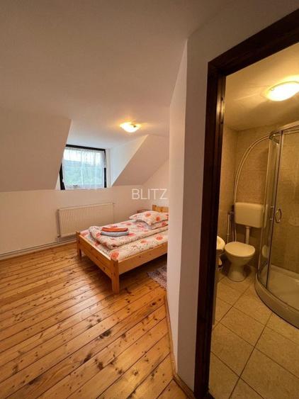 Cabana de 210mp, 2600 mp teren, in Rachitele - 8