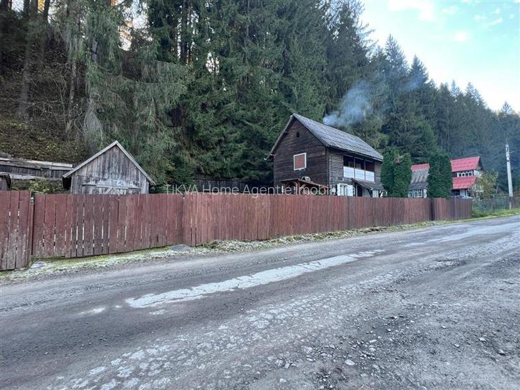 Casa de vacanta (Ciobotani, jud. Mures) - 2