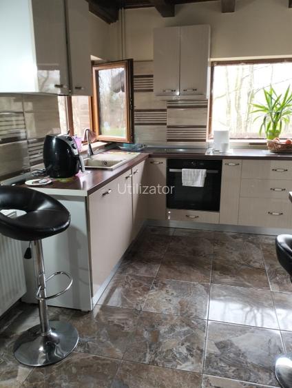 Vand casa in Lugojel  - 14