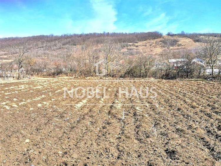 Casa, teren si padure, in sat Siscani, jud Vaslui - 15