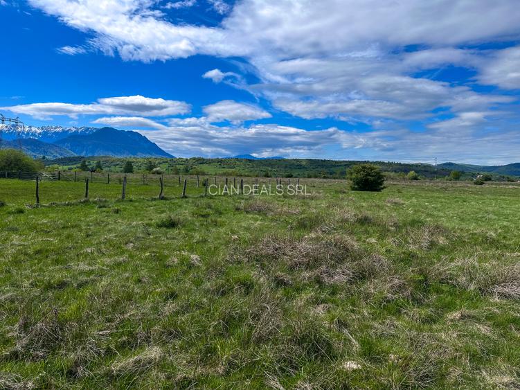 Teren Bran Zarnesti 3 km Castelul Bran 25 km Brasov - 14