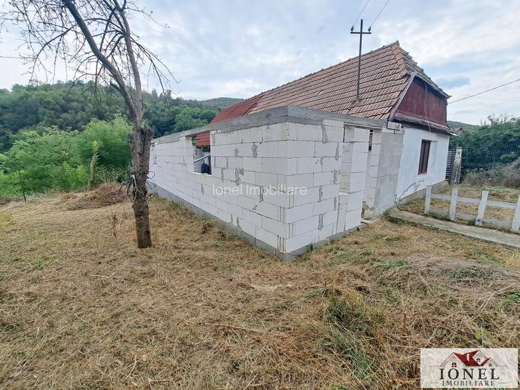 Casa de vanzare in Miraslau - Ormenis - 7