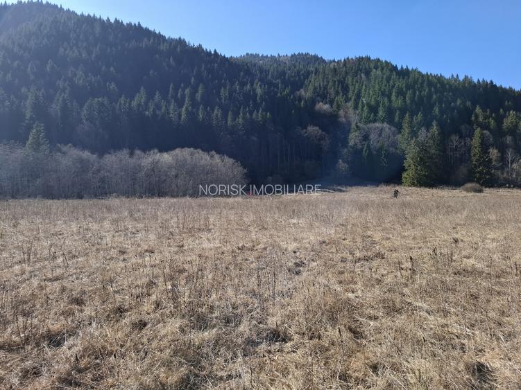 Teren Intravilan | Schitu Tarcău | 2089MP | Izvor | Platou - 3