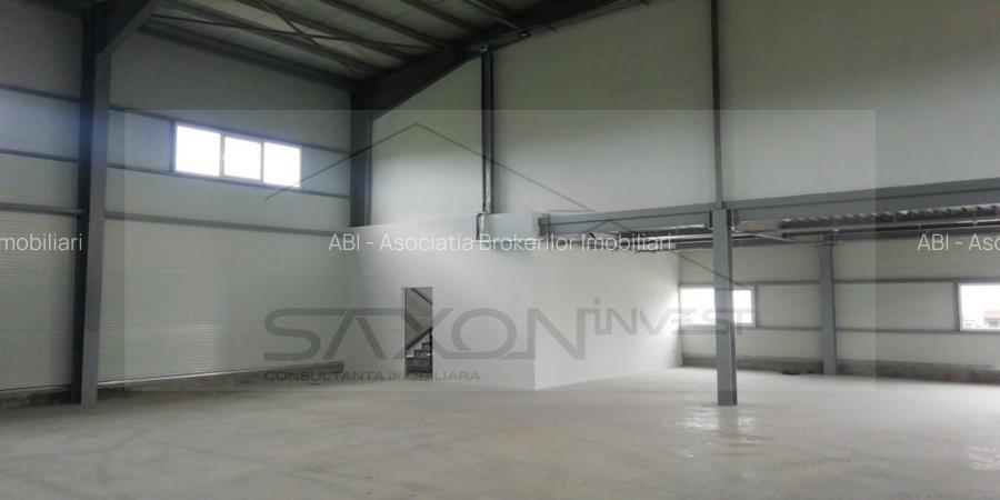 Hala depozitare sau productie   Drumul intre Tarlale,  600MP - 5