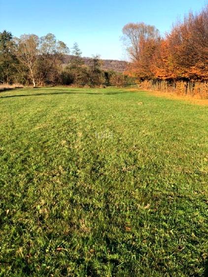 Teren intravilan in cartier Tocile comuna Sadu jud. Sibiu - 7