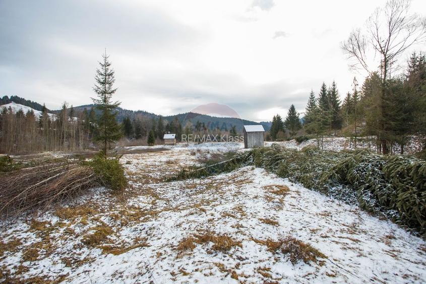 De vanzare | Teren Intravilan | Sat Sabasa, Comuna Borca, Neamt | - 12