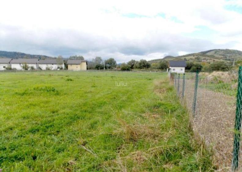 5200 sau 2600 mp teren vanzare,direct proprietar, parcelabil, apropiere Arinis - 2