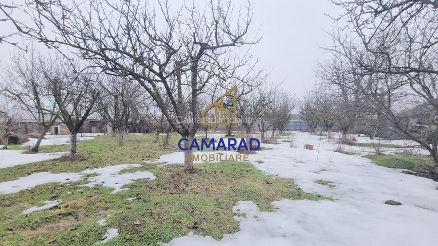 Spațiu comercial de vânzare în Tămădău Mare, jud. Călărași – Strada Principală - 15