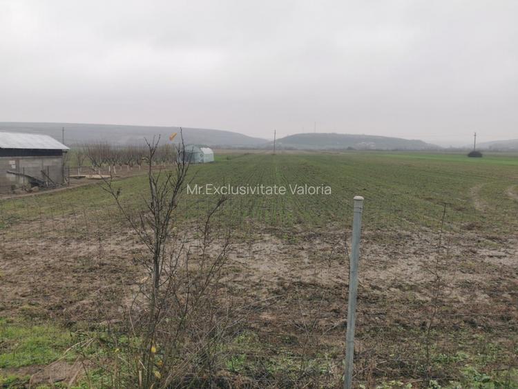 De vanzare casa in Argetoaia cu teren 7.000 mp - 5