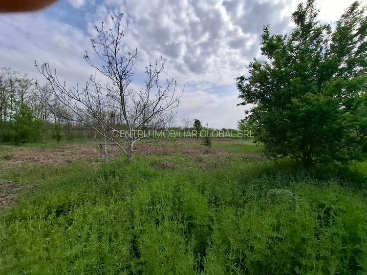 Teren construibil - 4