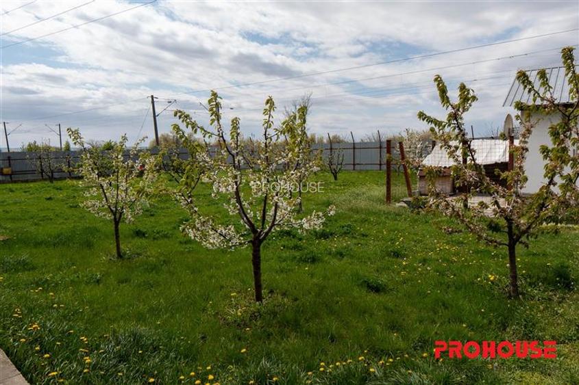 Pensiune + 4,7 Ha teren E85 Roman - Neamț - Afacere la cheie - 10