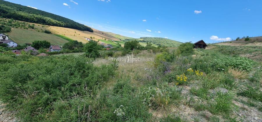 Teren 1 598 Mp De Vanzare, Panorama Superbă, Str Livezi, Sancrai - 7