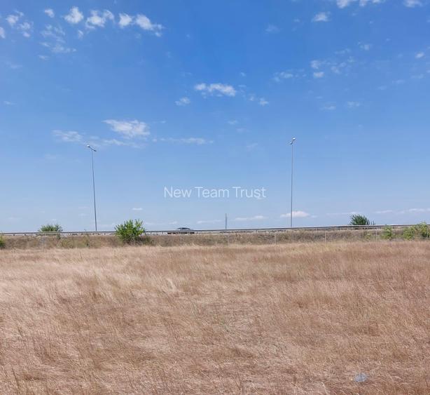 Voluntari  Pipera  Matei Millo  Vanzare  Loturi   teren   intravilan - 5