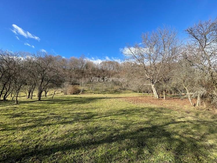 Mihaesti - Sat Draghici, teren intravilan, cu o suprafață generoasă de 7.280 mp - 3