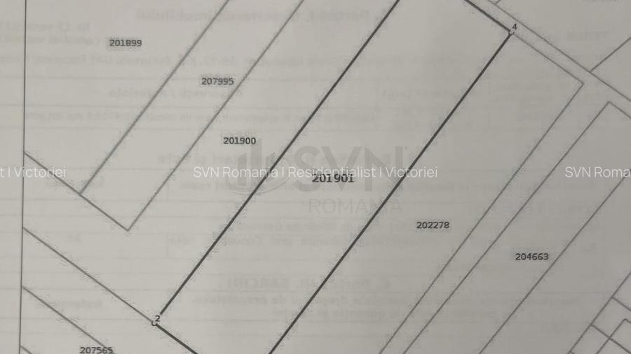 REL4001285 Teren investitie I Berceni - 6