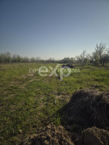 De vanzare teren la munte , in Rucar , zona Iezer Papusa, Arges, - 2