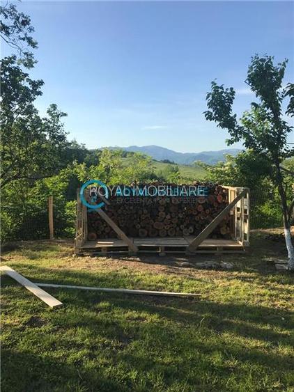 Royal Imobiliare- Vanzare Casa de Vacanta Teisani - 2