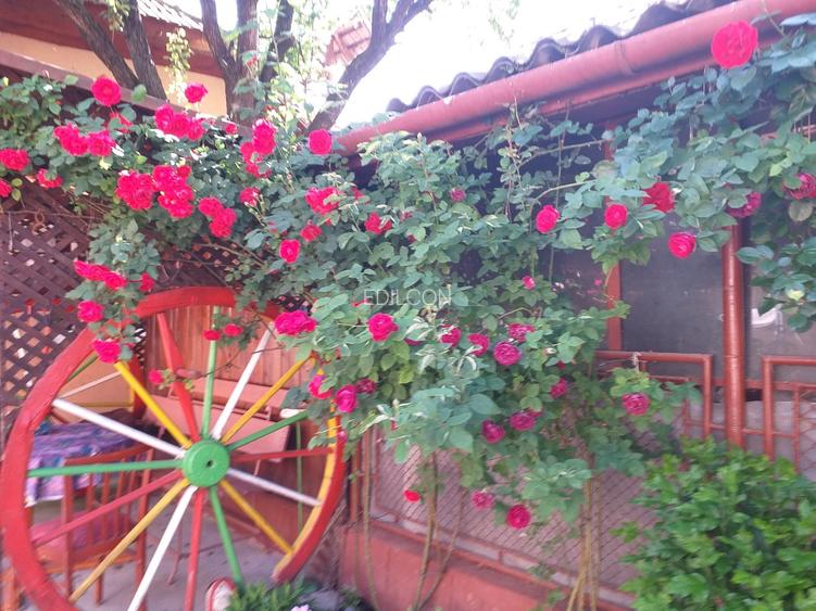 Casa in comuna Valea Lunga judetul Alba - 3