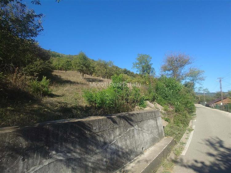 14075 mp teren cu acces la utilitati - Criscior - 5