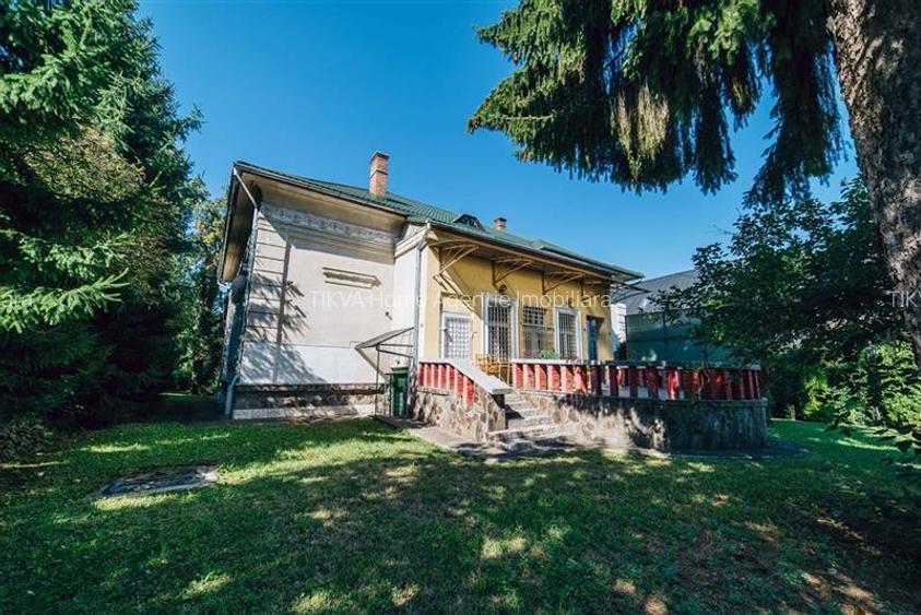 Vila in stil Art Nouveau (Targu Mures, str. Alexandru Papiu Ilarian) - 45