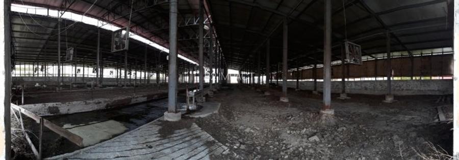 de vanzare Ferma Vaci - 13