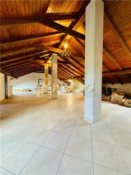 Vila impresionanta | Burdujeni | 16 ari | ID: 1446 - 20