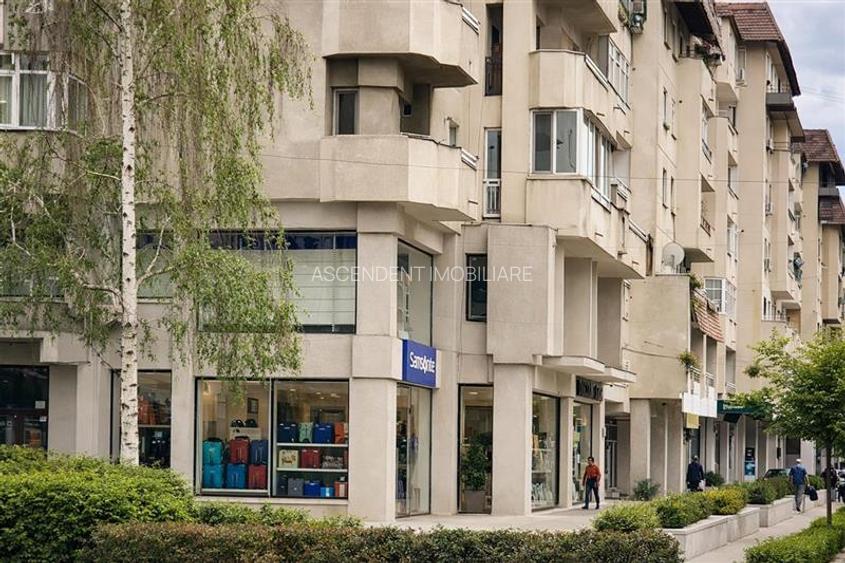 Spatiul Comercial, compartimentabil si in 3 unitati, cu acces separat, Central, - 7