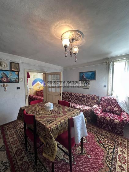 Casa tradițională de vânzare - Alexandru cel Bun - 18