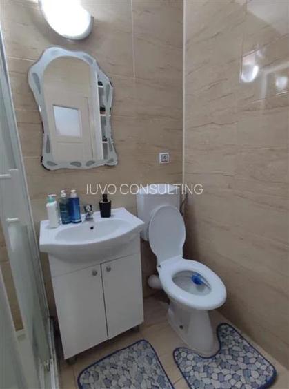 Vanzare Apartament 2 Camere Decomandat Giurgiului-Al.Dolina - 7