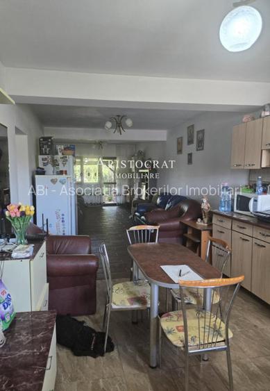 Duplex pe parter Tamasi padure - 4