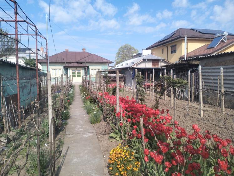 Casa  la curte Oltenita - 7