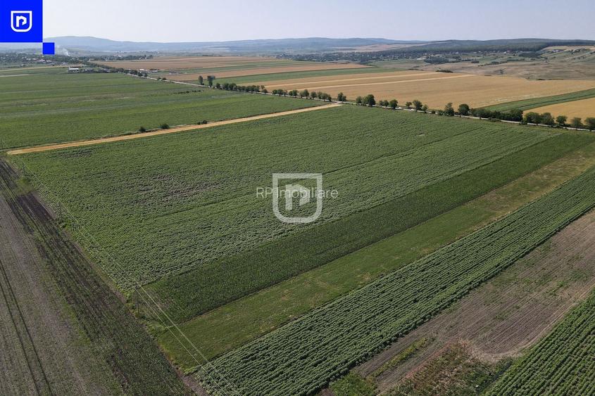 Teren - Orășeni Deal, Curtești | BOTOȘANI | 10.000mp - 2