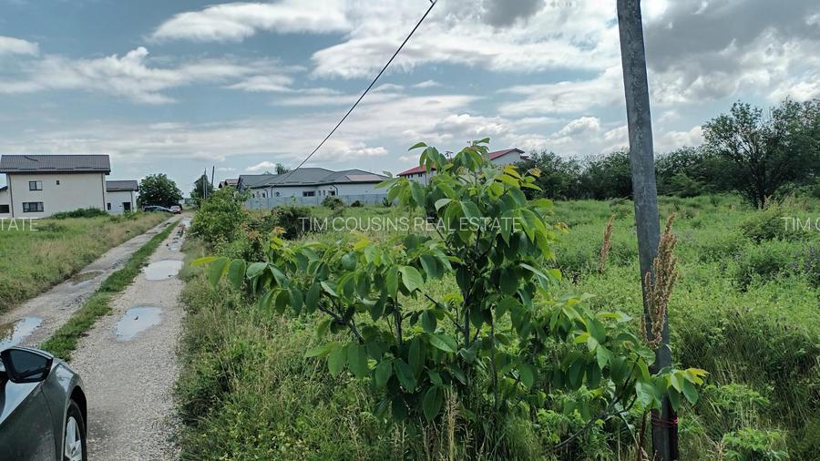 Domnesti, teren intravilan 828/24, strada Doinei, bun duplex, utilitati, 53000 e - 5