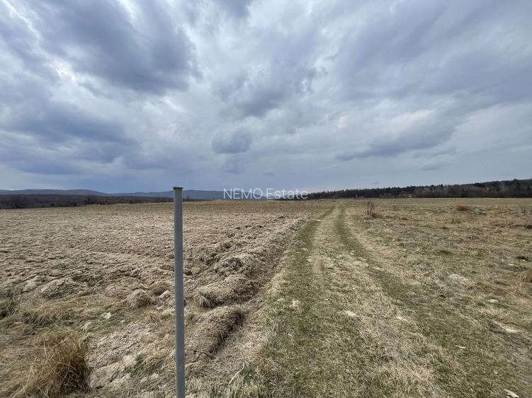 TEREN EXTRAVILAN | 23 ARI | HORODNIC DE SUS - 9