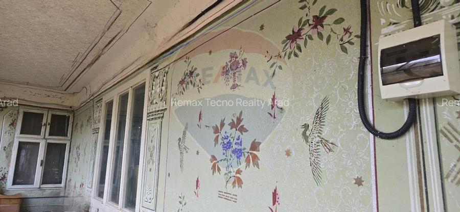 Teren si casă cu teren generos în Socodor - 12