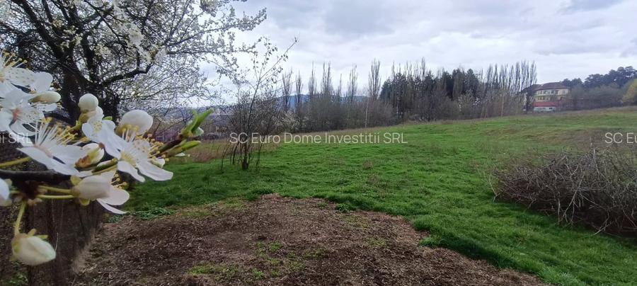 Teren in zona pitoreasca , usor accesibila , cu utilitati si panorama deosebita - 6