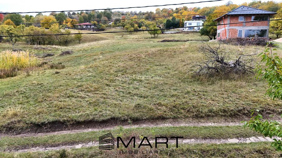 Teren intravilan 1250mp  cu PUZ in Cisnadioara - 5