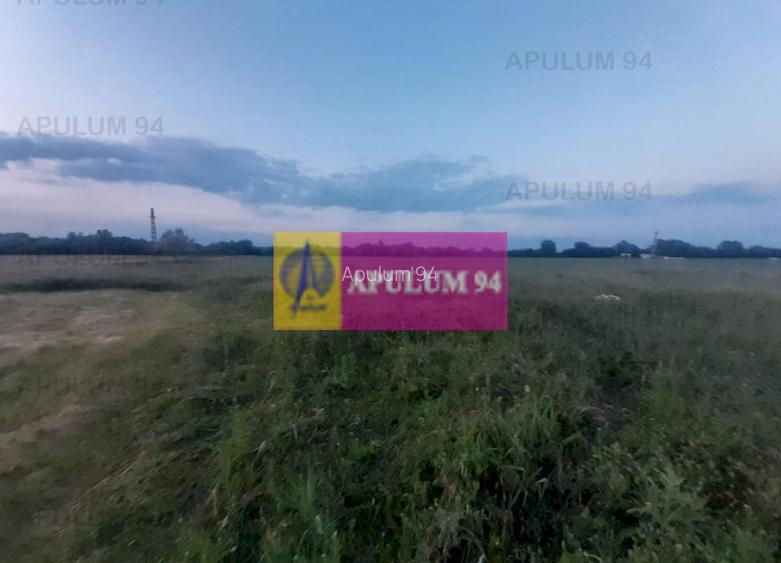 Teren aproape de Bucuresti langa padure - 11