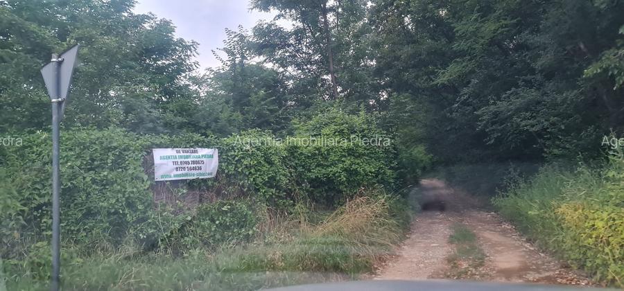 Vand de constructii situat la sosea in Tropinii Noi, cu PUZ, - 2