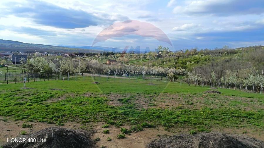 Teren pentru dezvoltare premium lângă pădure | 2854 mp - 5