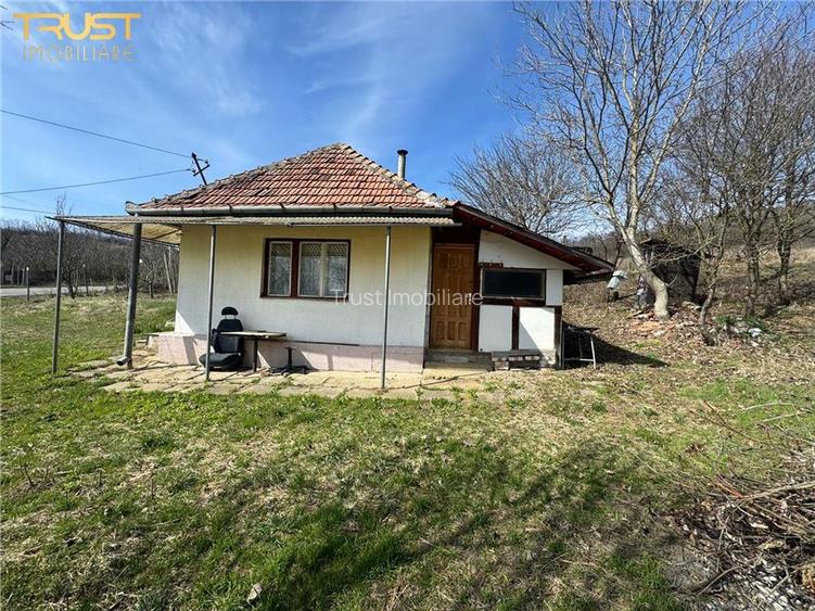 Teren Parcelabil I 11400 MP I Corpadea - 2