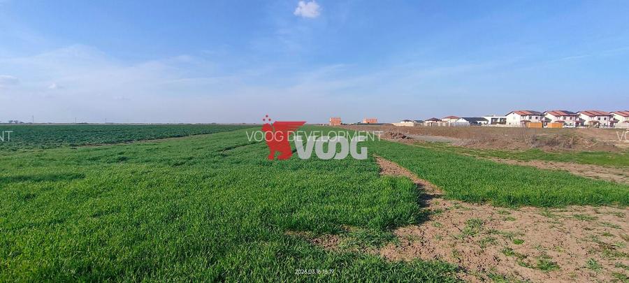 Teren de vânzare – 10.000 mp – ideal pentru parcelare și construcții - 3