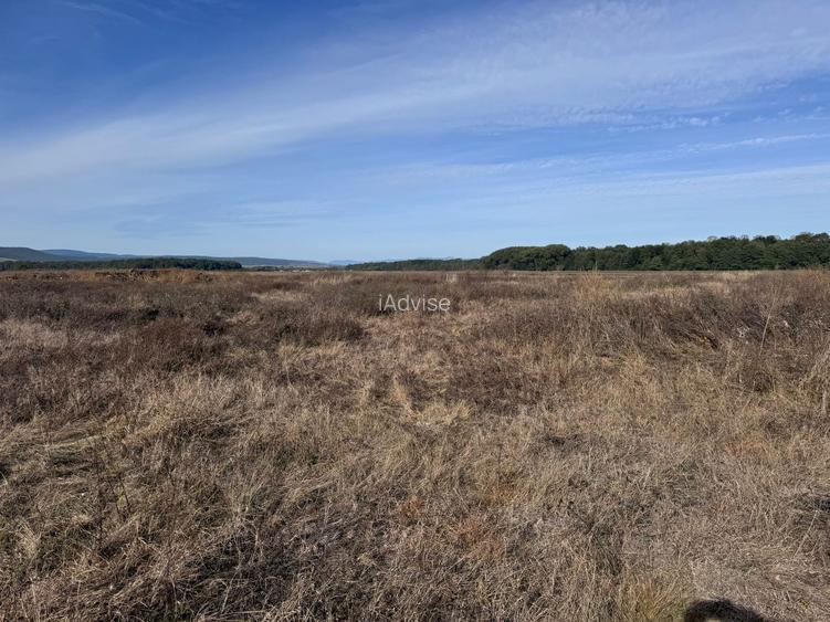 Teren de vanzare in Harman 4,4 Hectare - 13